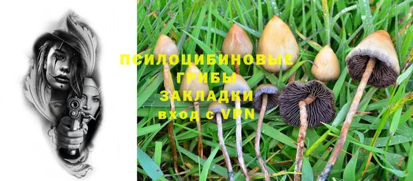 прущие крисы Елабуга